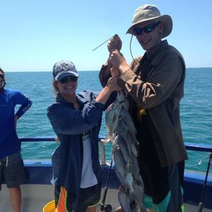 Meet your Posher, Lilly